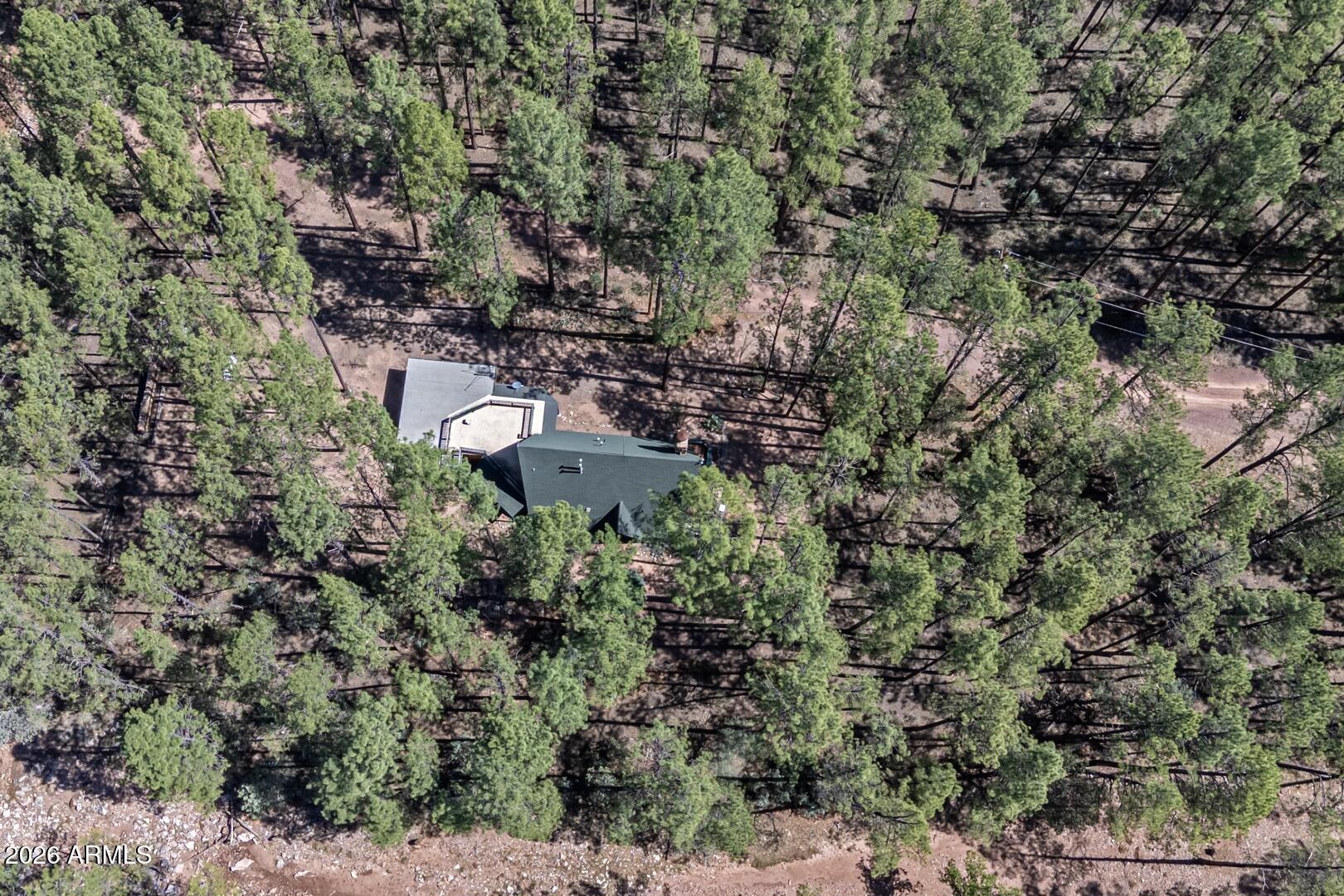 183 West Raven Road Christopher Creek, AZ 85541 - Photo 60 of 70 IMG_ 46