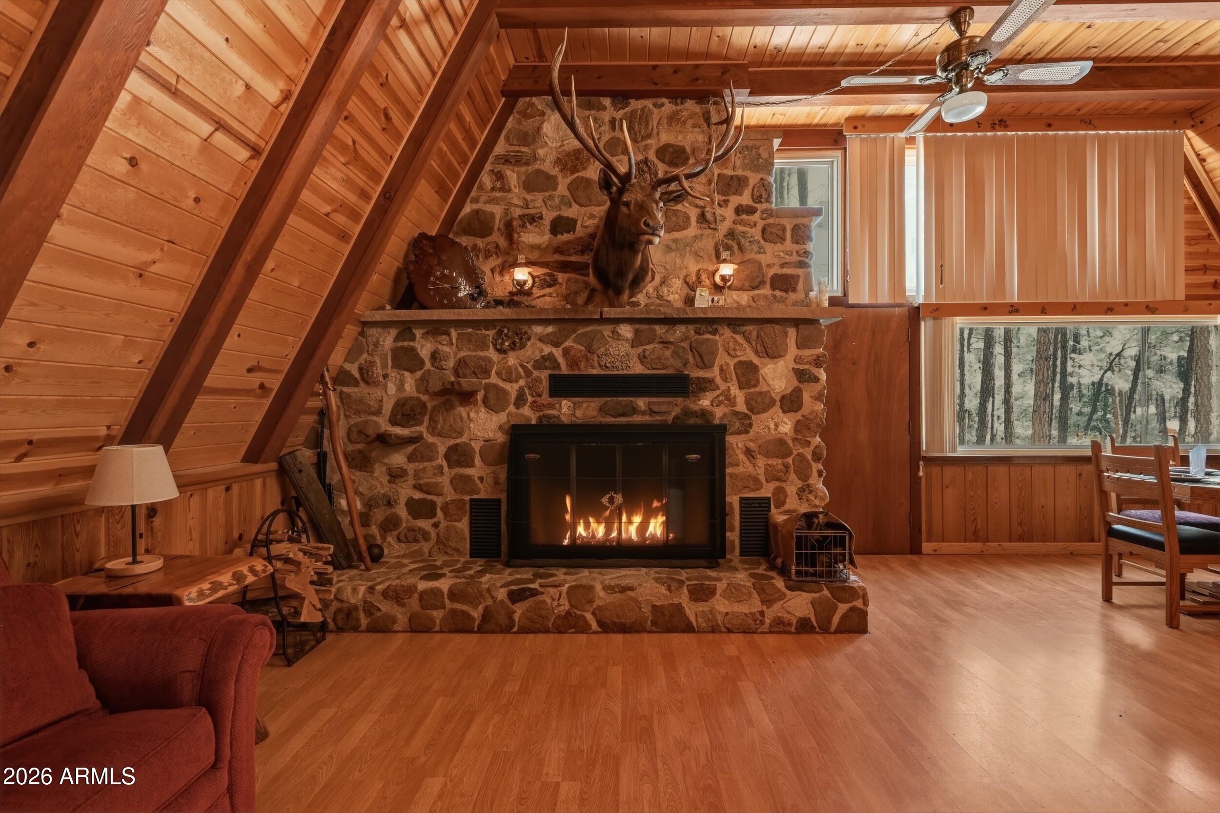 183 West Raven Road Christopher Creek, AZ 85541 - Photo 6 of 70 9_nkn_7131_with_fire