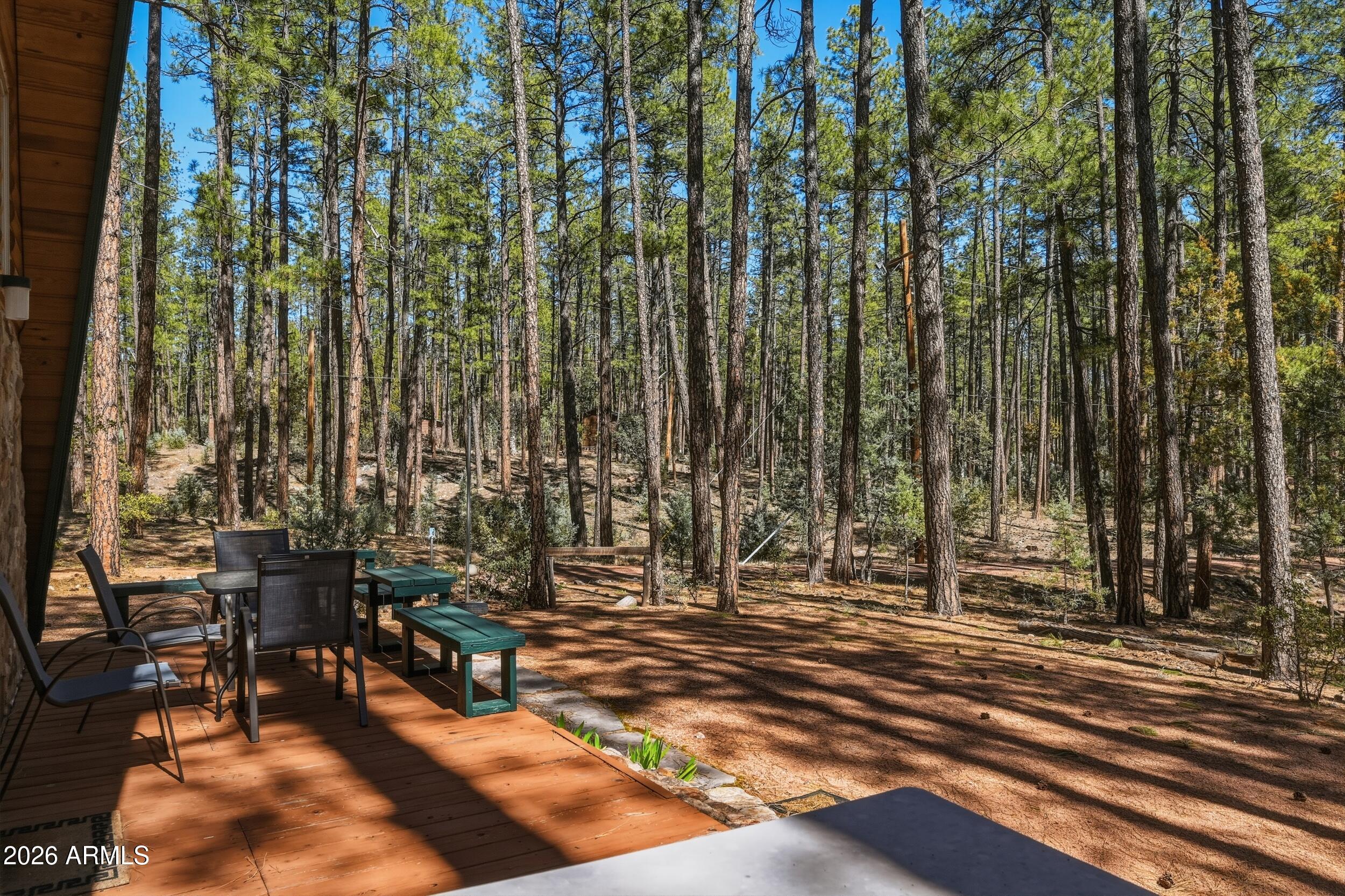 183 West Raven Road Christopher Creek, AZ 85541 - Photo 63 of 70 7_nkn_7086