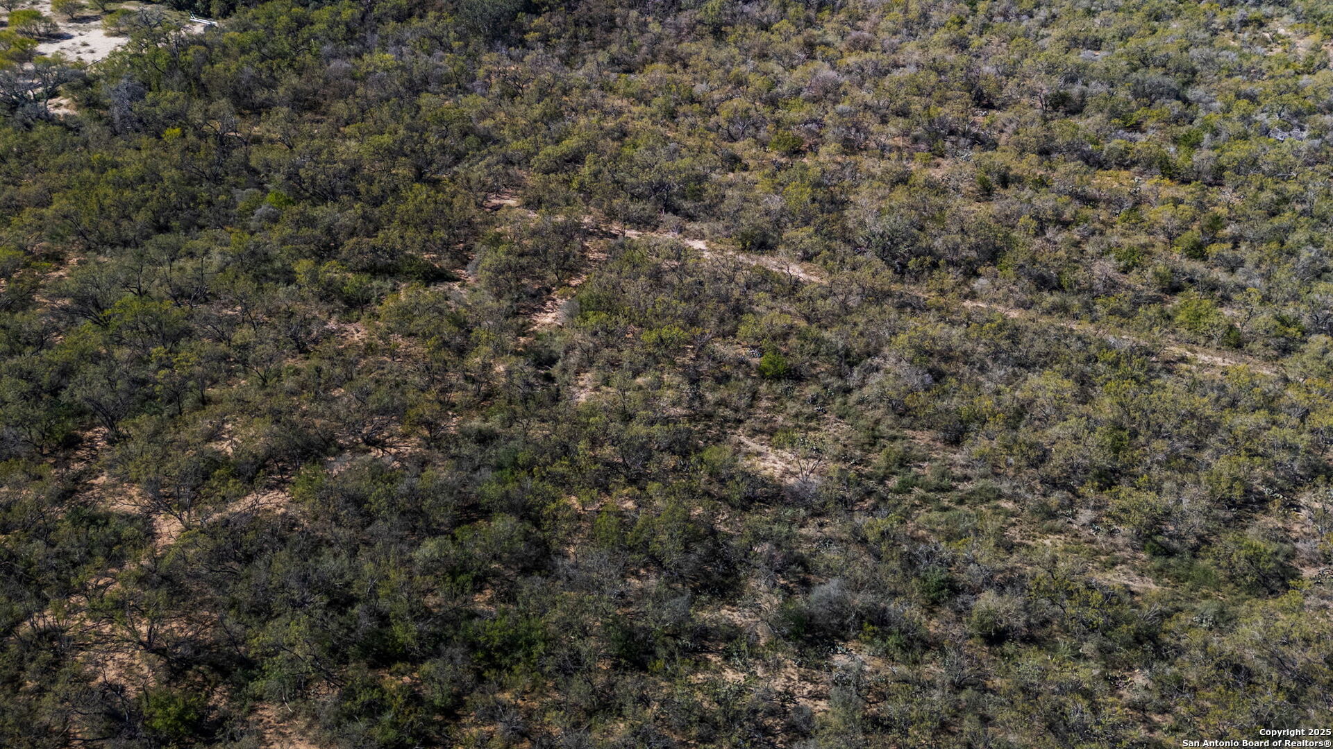 14350 Interstate 35 Access Road Von Ormy, TX 78073 - Photo 11 of 45 a view of a covered with green space