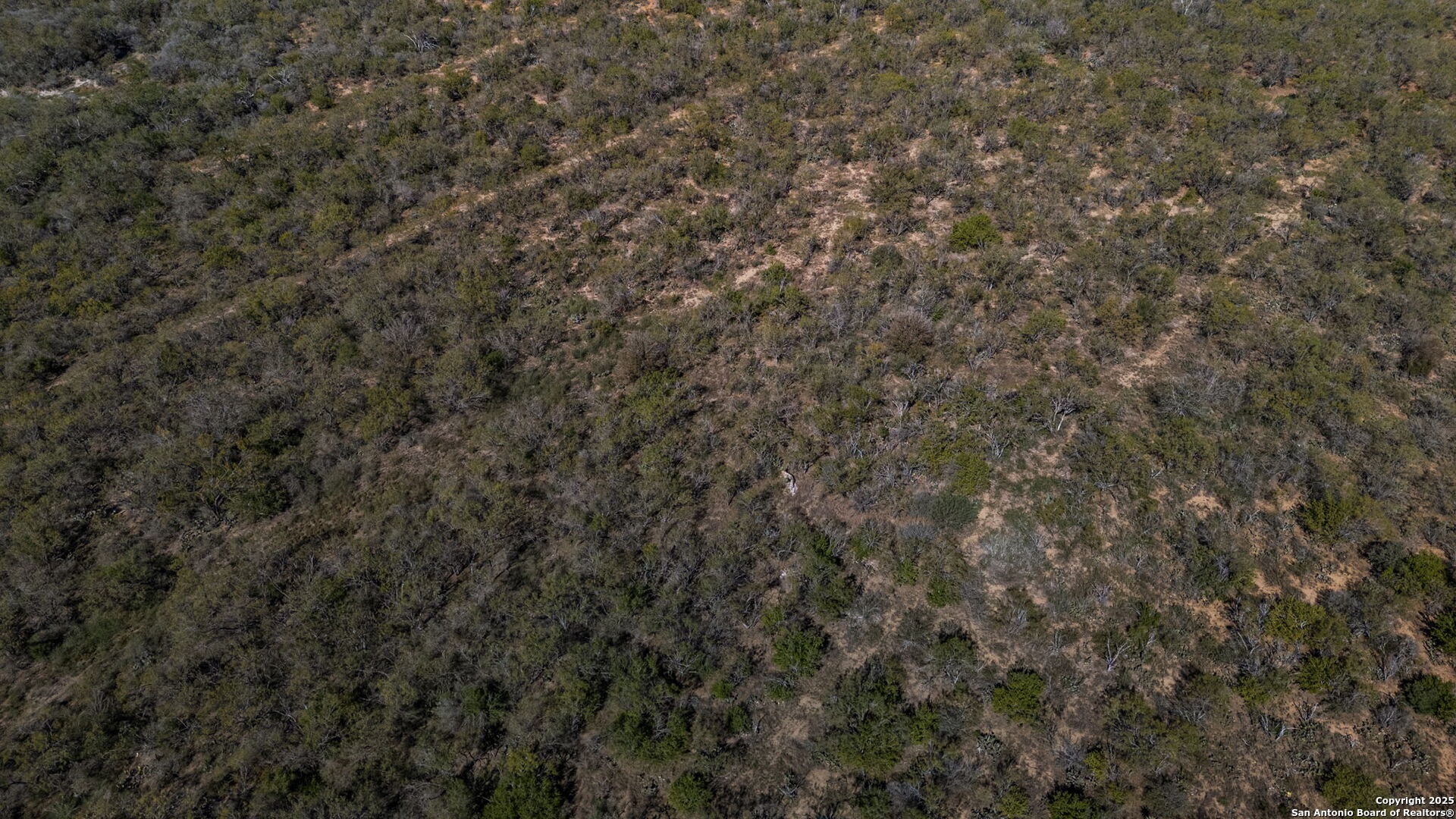 14350 Interstate 35 Access Road Von Ormy, TX 78073 - Photo 12 of 45 a view of a covered with green space