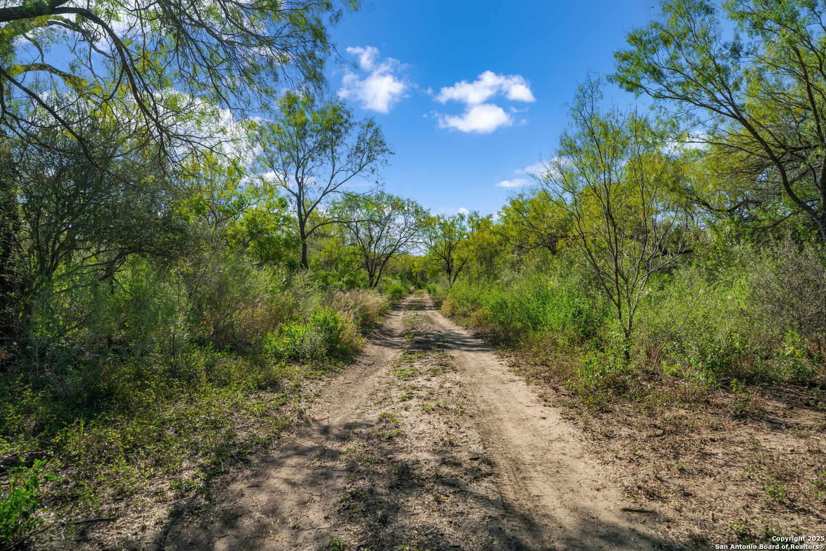 14350 Interstate 35 Access Road Von Ormy, TX 78073 - Photo 27 of 45 a view of a yard with plants and trees