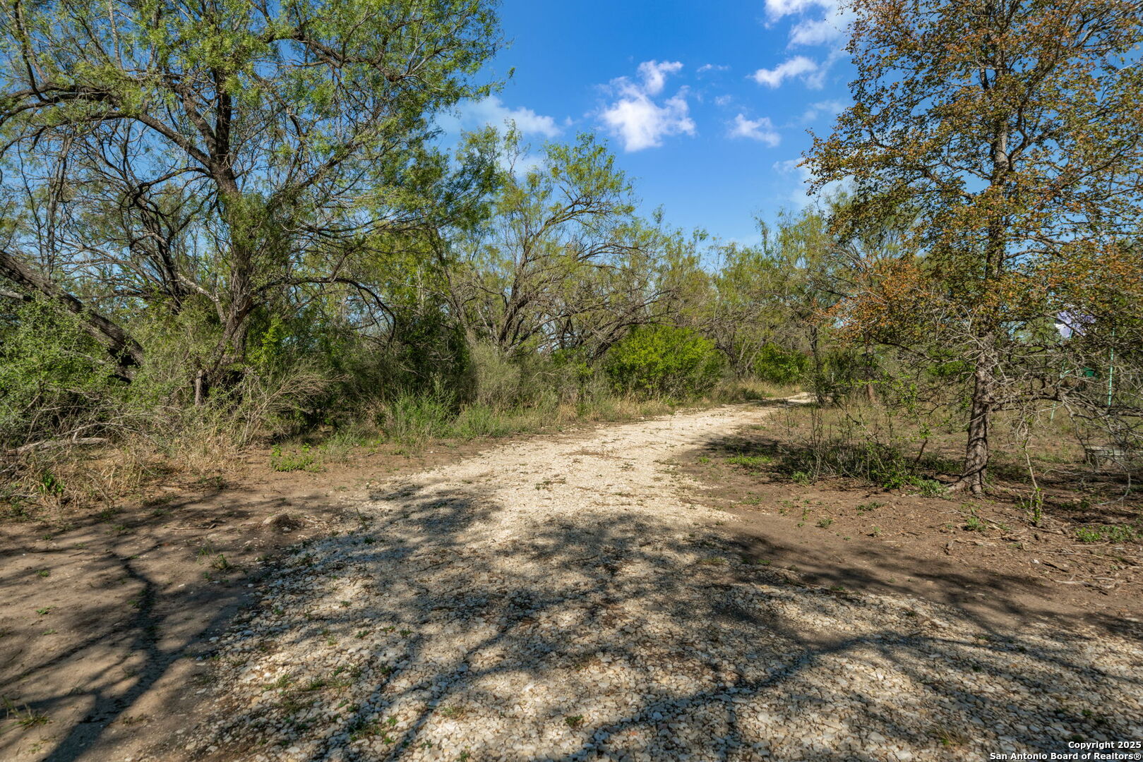 14350 Interstate 35 Access Road Von Ormy, TX 78073 - Photo 29 of 45 a view of a forest with trees in the background