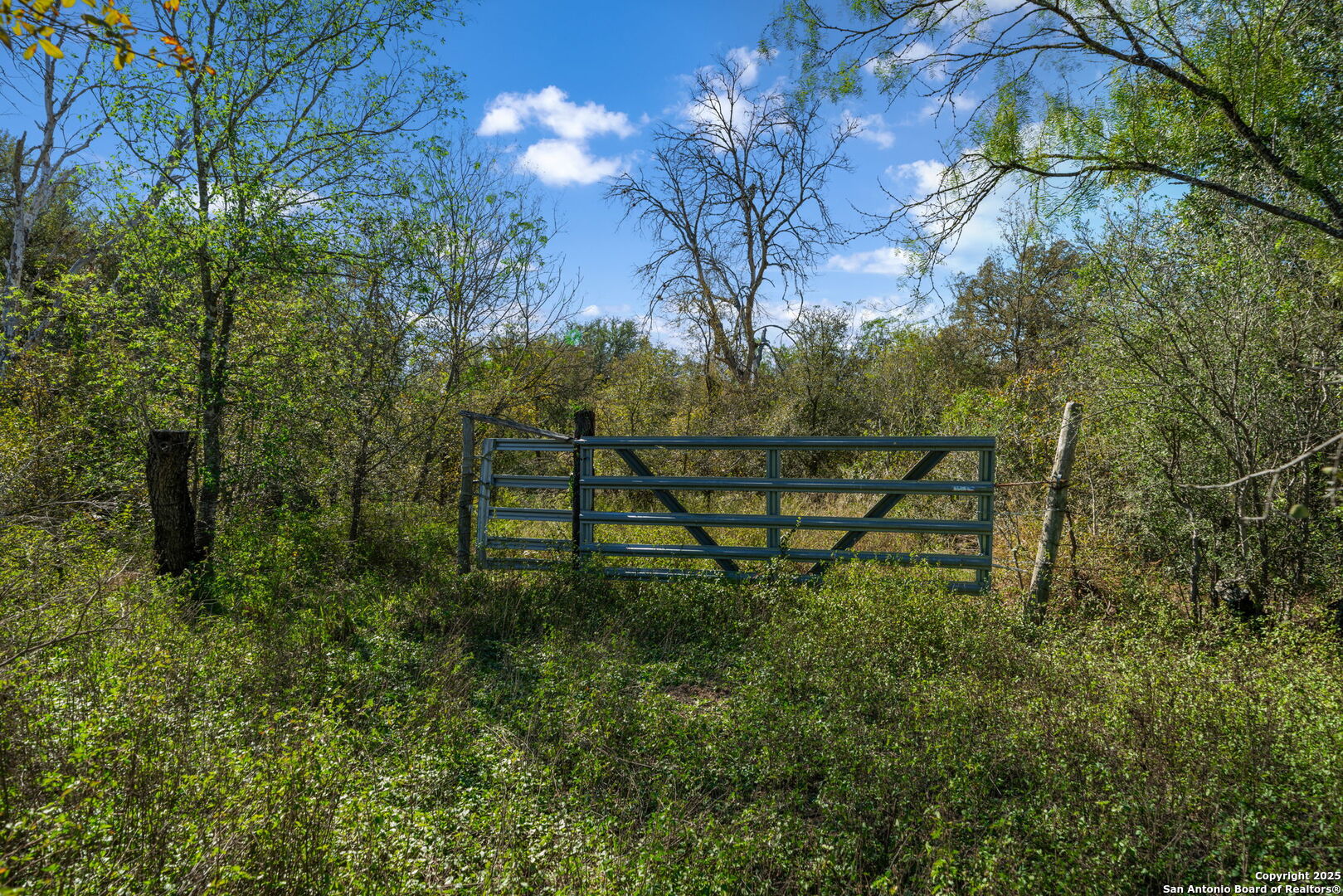 14350 Interstate 35 Access Road Von Ormy, TX 78073 - Photo 38 of 45 a view of a bench in a garden
