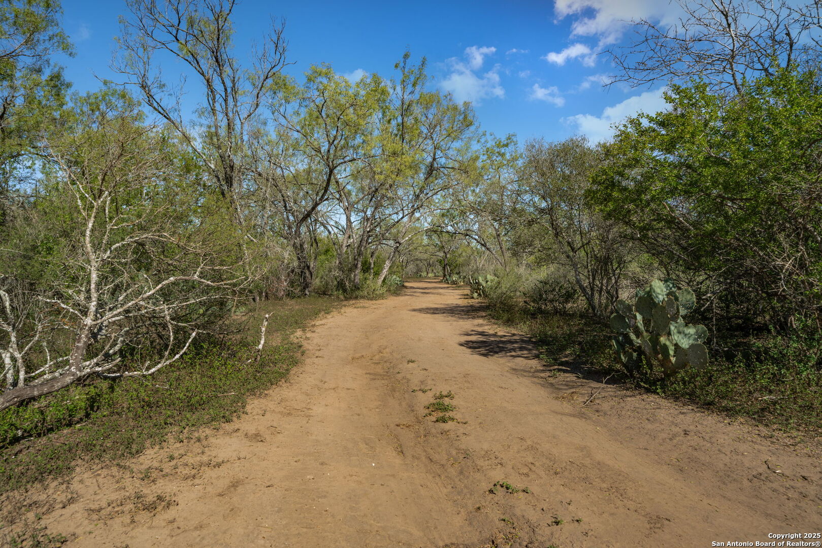14350 Interstate 35 Access Road Von Ormy, TX 78073 - Photo 39 of 45 a view of a yard with a tree