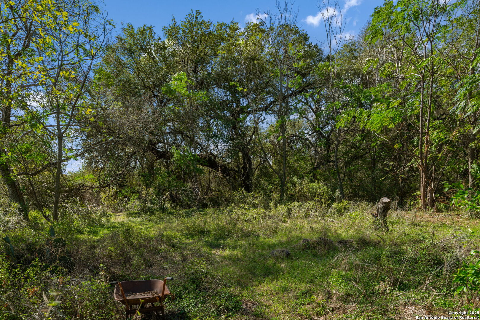 14350 Interstate 35 Access Road Von Ormy, TX 78073 - Photo 40 of 45 a view of a forest with a street