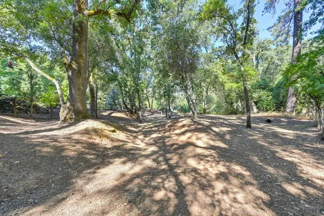 a view of outdoor space with trees