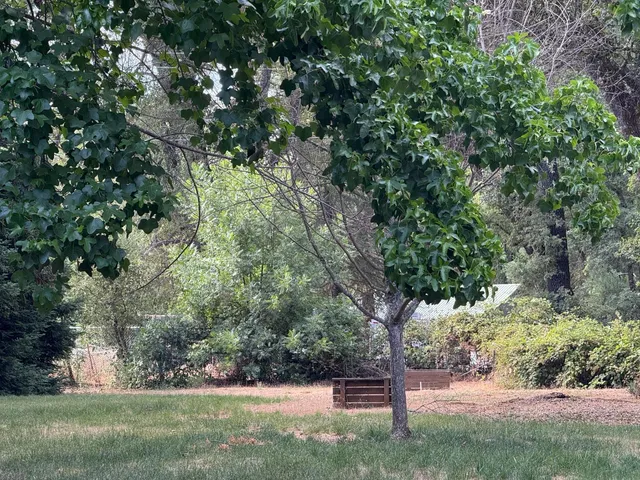 a view of outdoor space with trees