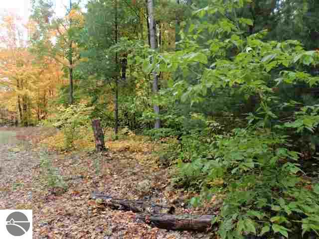 19070 Fowler Road Lake Ann, MI 49650 - Photo 5 of 10 1740000-4.JPG