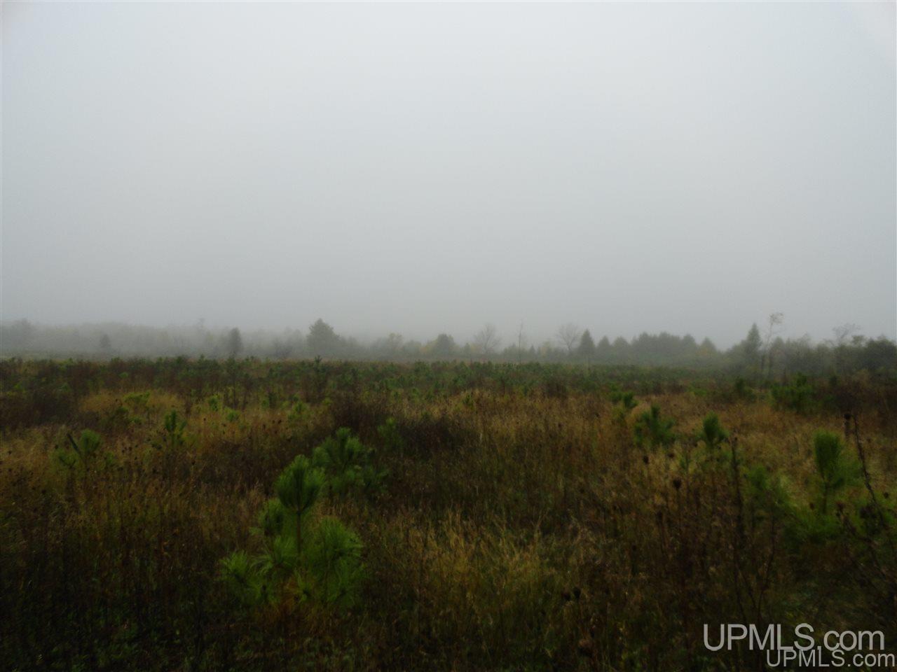 40-acres Davidson Road Manistique, MI 49854 - Photo 29 of 30 Gallery Image 29