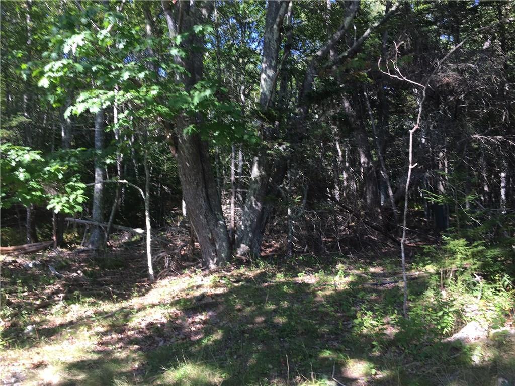 0 Loop Road Georgetown, ME 04548 - Photo 2 of 10 Photo