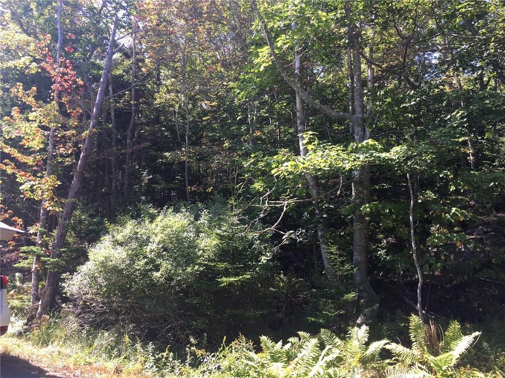 0 Loop Road Georgetown, ME 04548 - Photo 4 of 10 Photo