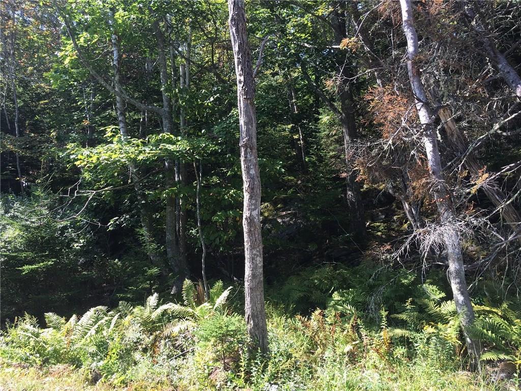 0 Loop Road Georgetown, ME 04548 - Photo 6 of 10 Photo