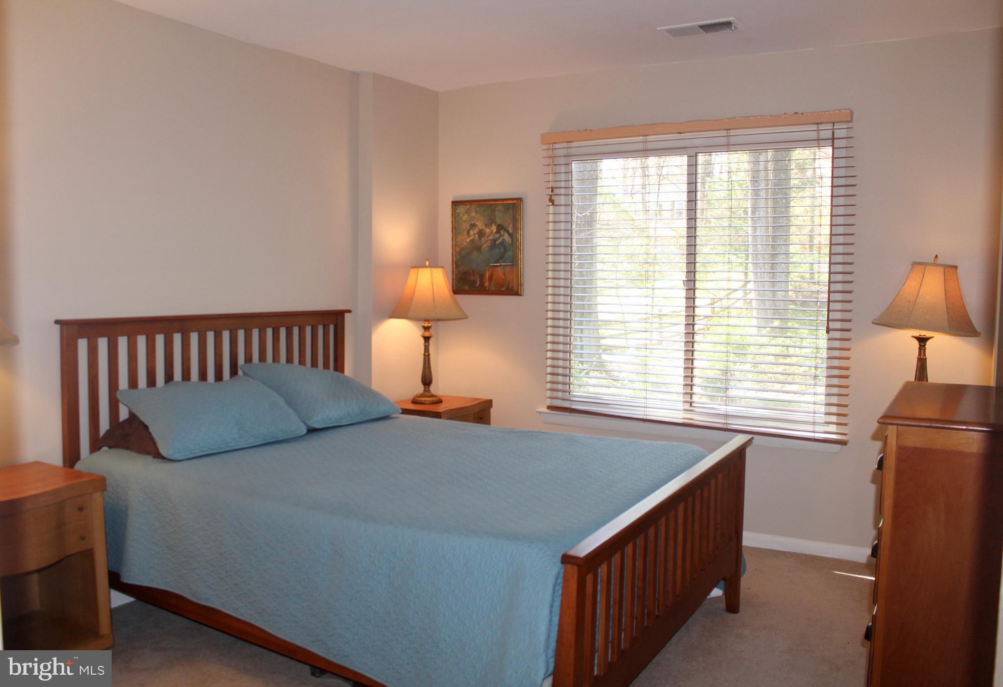 1118 Challedon Road Great Falls, VA 22066 - Photo 14 of 24 Bedroom in lower lev el