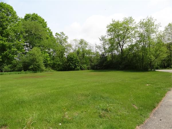 40 Moran Road Hardwick, MA 01031 - Photo 4 of 15 a view of yard with green space