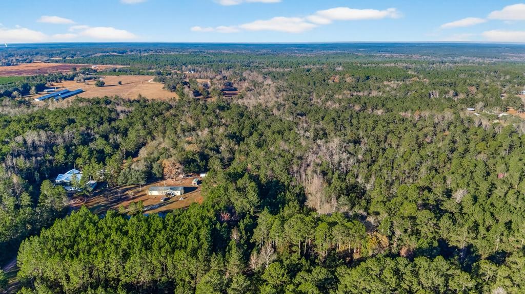 0 Do Hi Way Hilliard, FL 32046 - Photo 18 of 32 Gallery Image 18