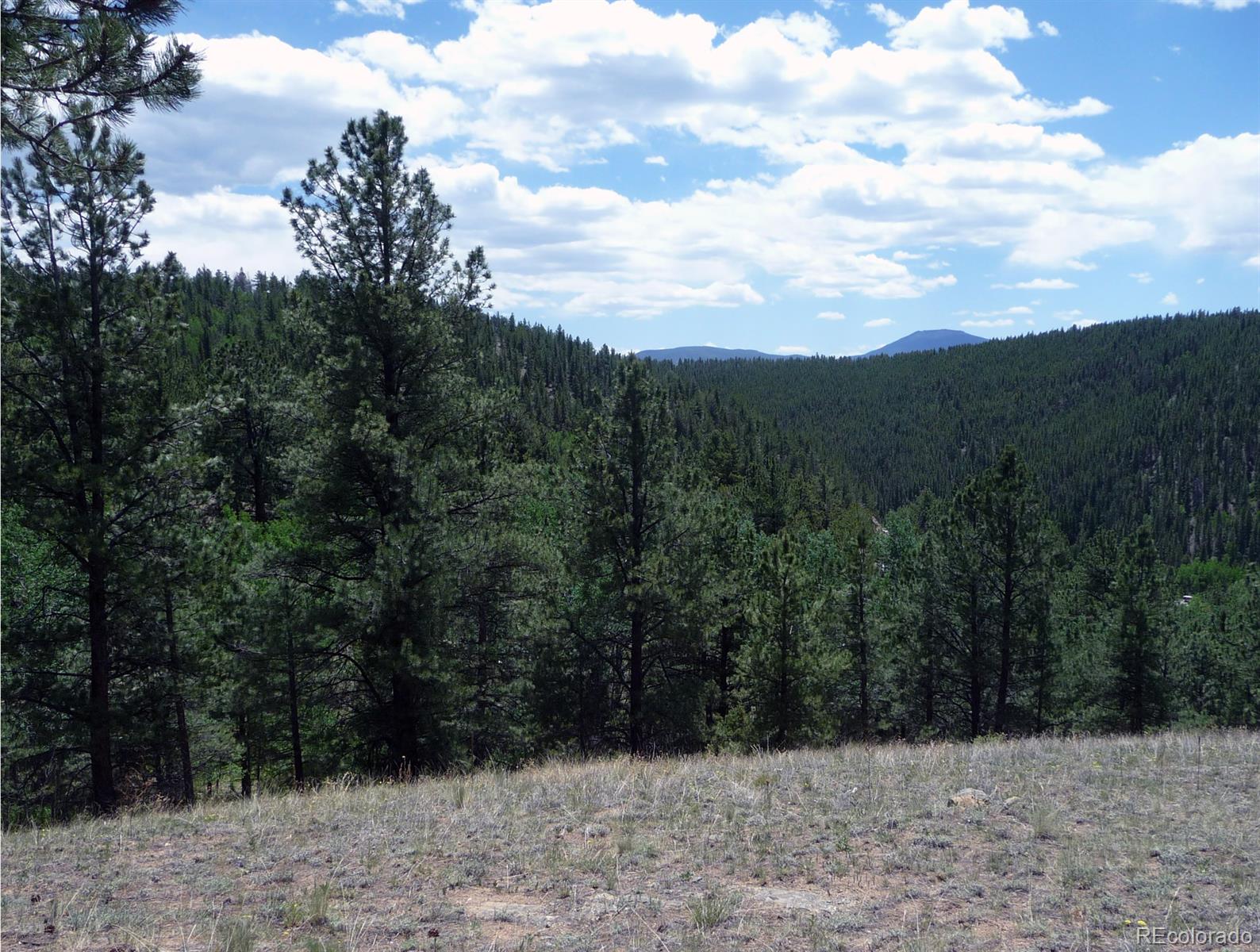 597 Evergreen Road Black Hawk, CO 80422 - Photo 1 of 1 Gallery Image 1