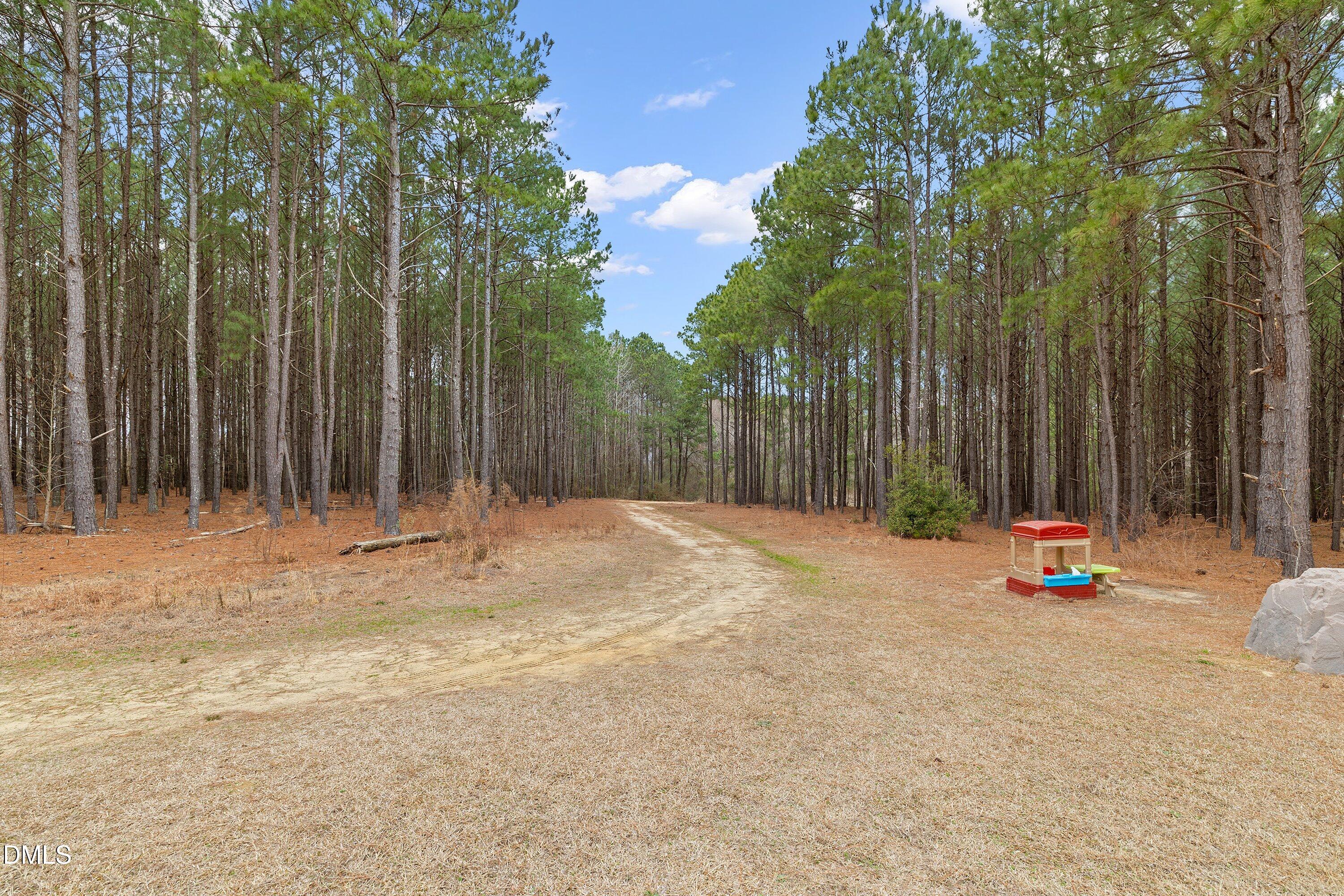 665 Mann Road Coats, NC 27521 - Photo 35 of 53 39-665 Mann Rd_5989