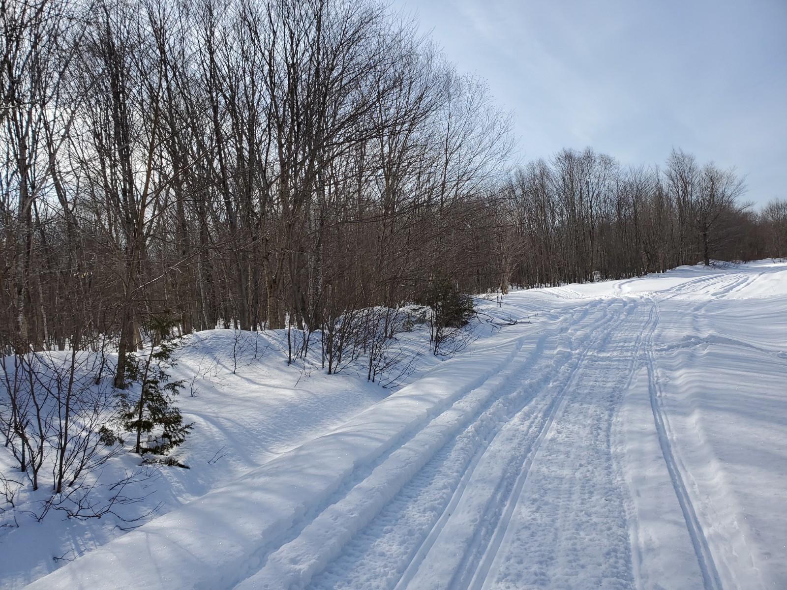 Lot B Fire Road Linneus, ME 04730 - Photo 5 of 11 20210310_090506