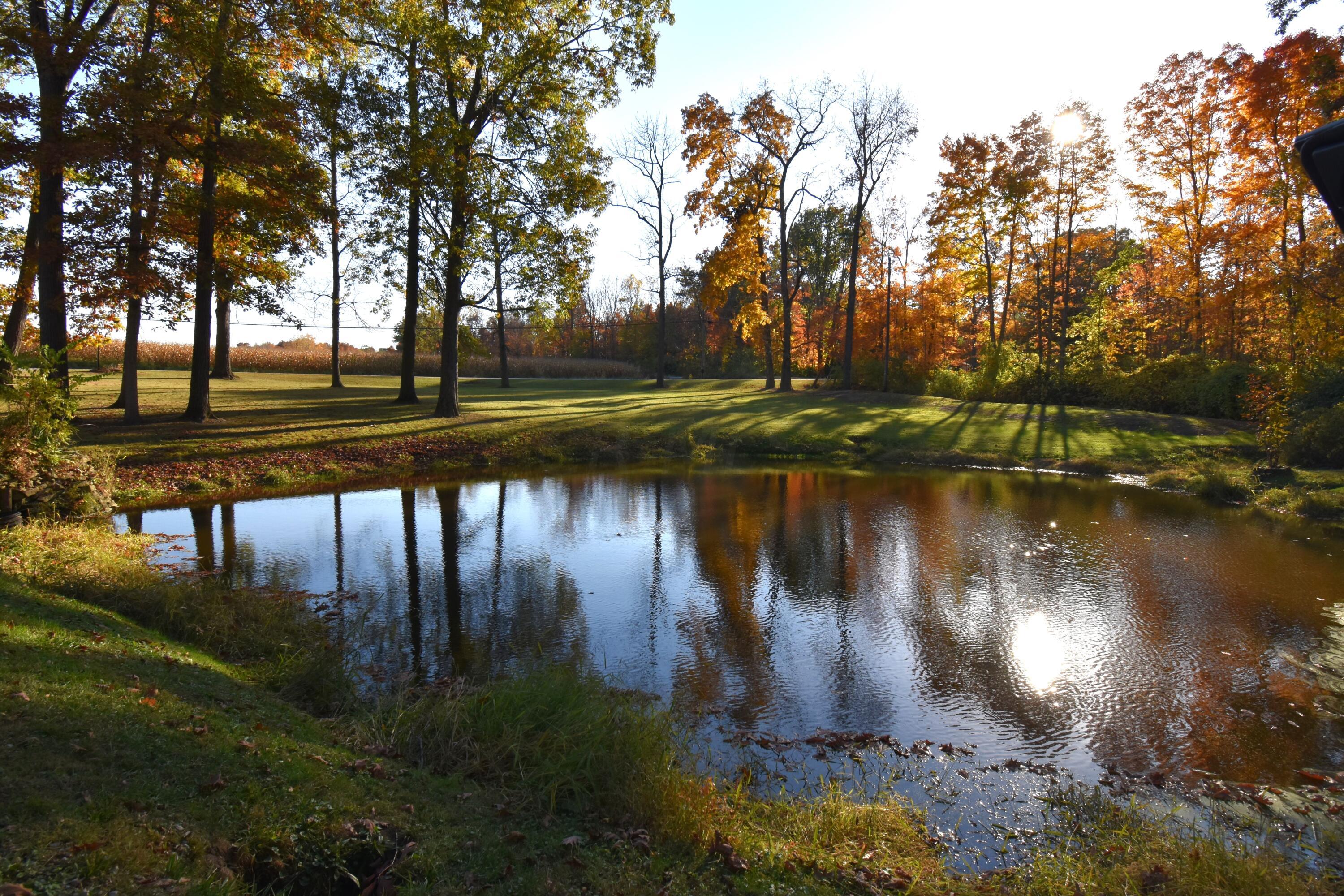 428 Coover Road Delaware, OH 43015 - Photo 41 of 41 Pond View
