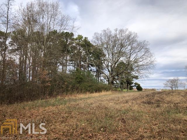 0 Glenloch Road Roopville, GA 30170 - Photo 1 of 1