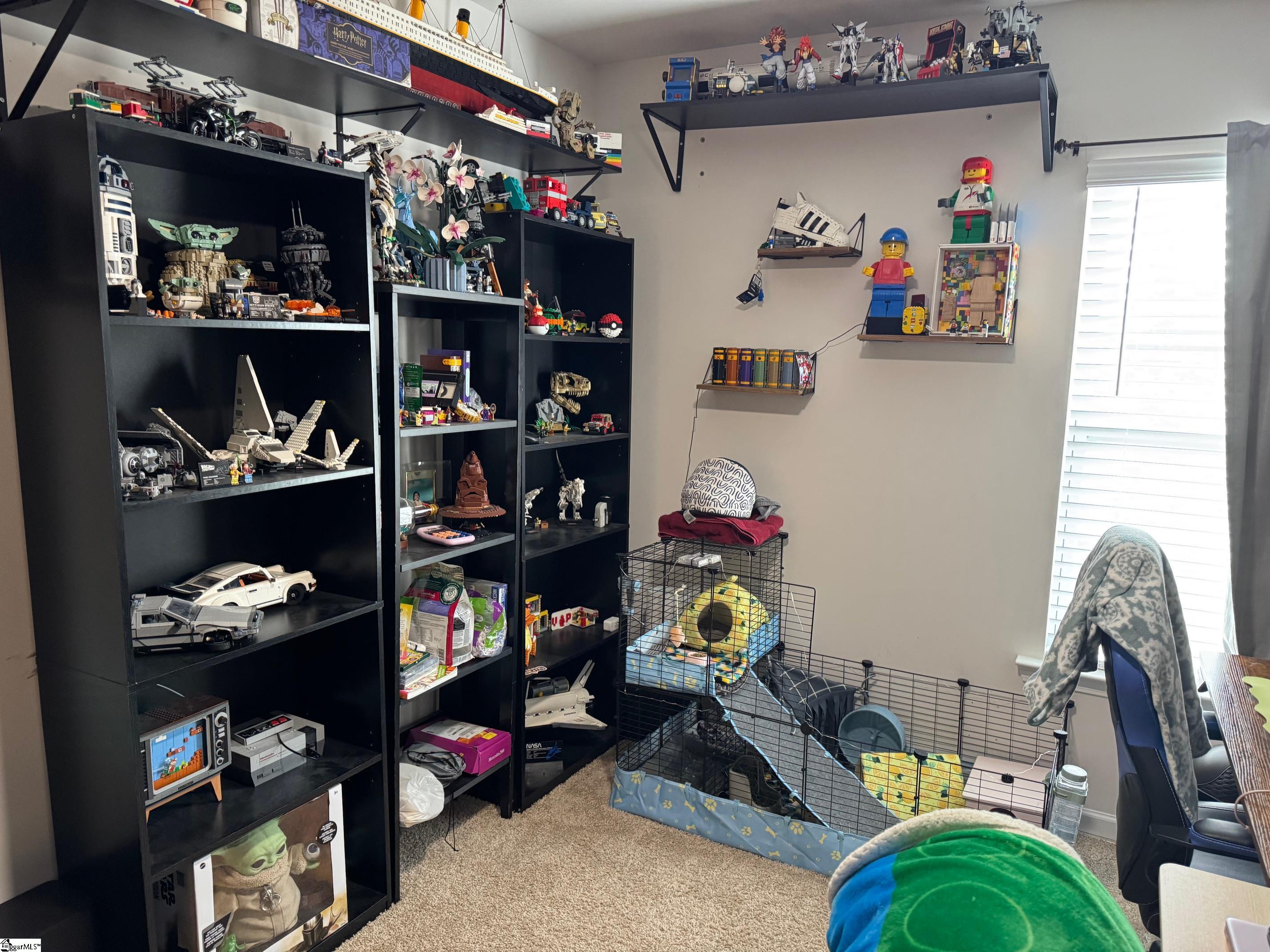 320 Sea Isle Place Greer, SC 29650 - Photo 15 of 22