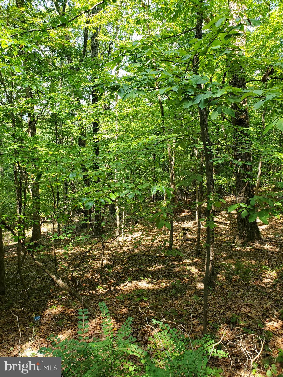 2832 Highland Ridge Road Berkeley Springs, WV 25411 - Photo 3 of 27 Gallery Image 3