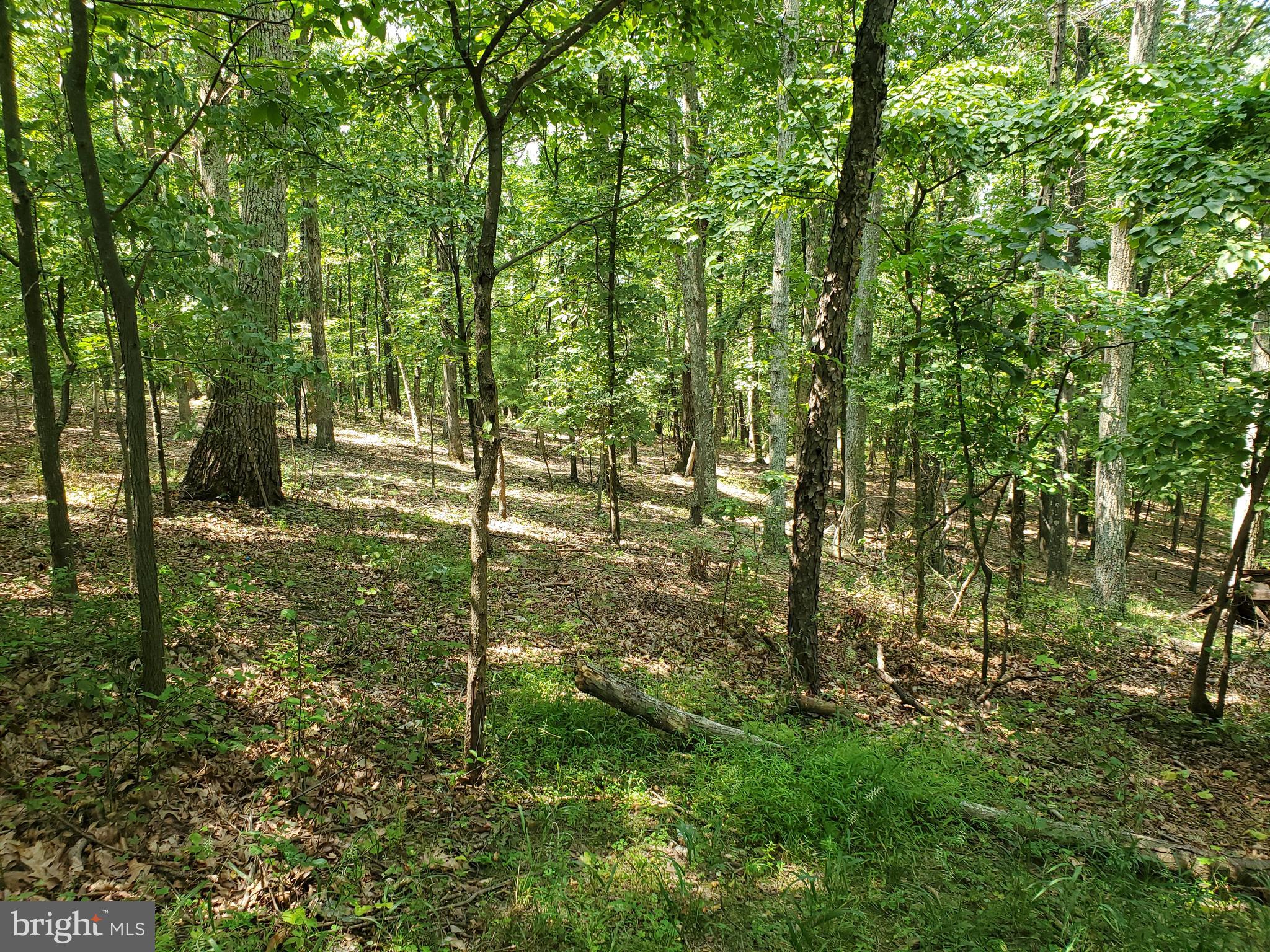2832 Highland Ridge Road Berkeley Springs, WV 25411 - Photo 4 of 27 Gallery Image 4