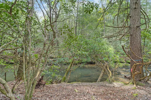 $89,900 | 14.78 Old Collins Road, Deer Lodge, TN 37726