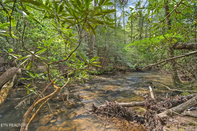 $89,900 | 14.78 Old Collins Road, Deer Lodge, TN 37726