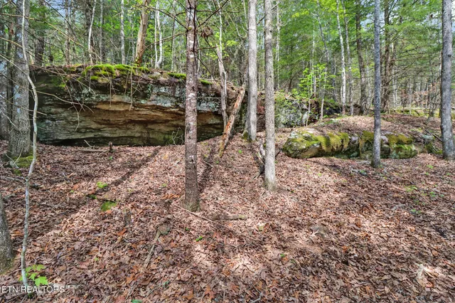 $89,900 | 14.78 Old Collins Road, Deer Lodge, TN 37726