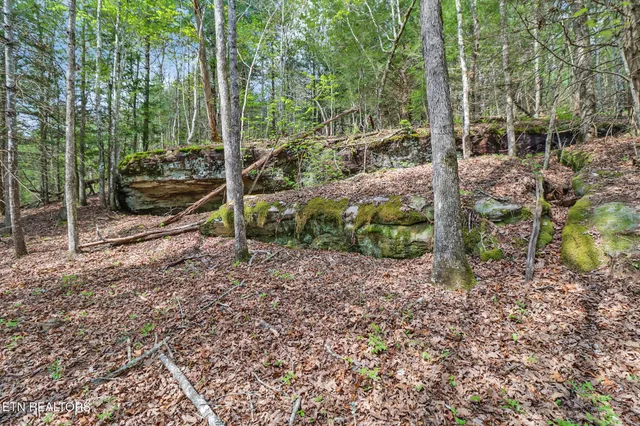 $89,900 | 14.78 Old Collins Road, Deer Lodge, TN 37726