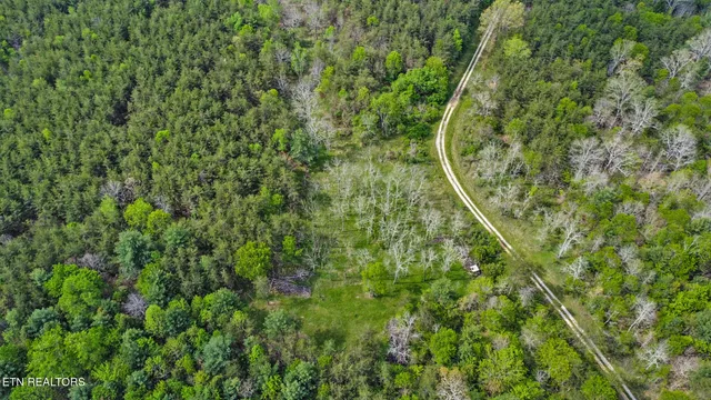 $89,900 | 14.78 Old Collins Road, Deer Lodge, TN 37726