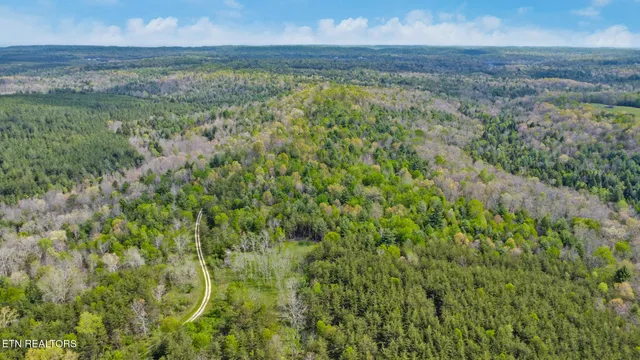 $89,900 | 14.78 Old Collins Road, Deer Lodge, TN 37726