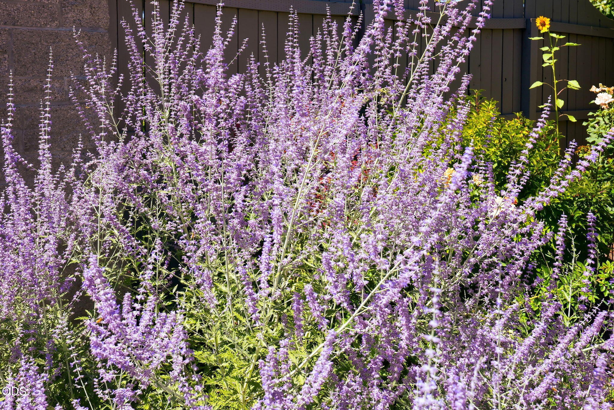 825 Northeast Wiest Way Bend, OR 97701 - Photo 38 of 59 Gallery Image 38