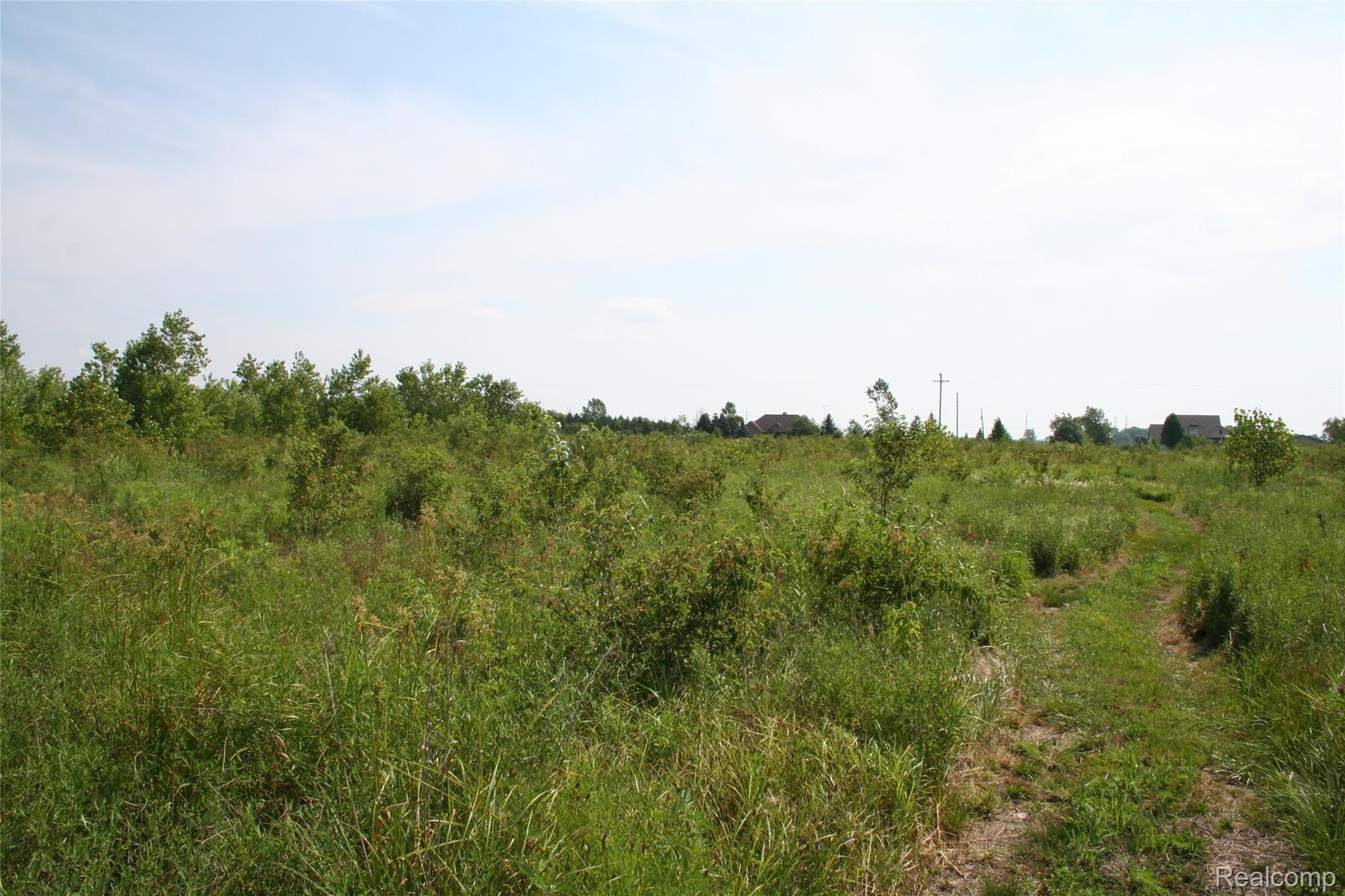 1950 Buhl Road Newport, MI 48166 - Photo 44 of 58 IMG_3337.JPG