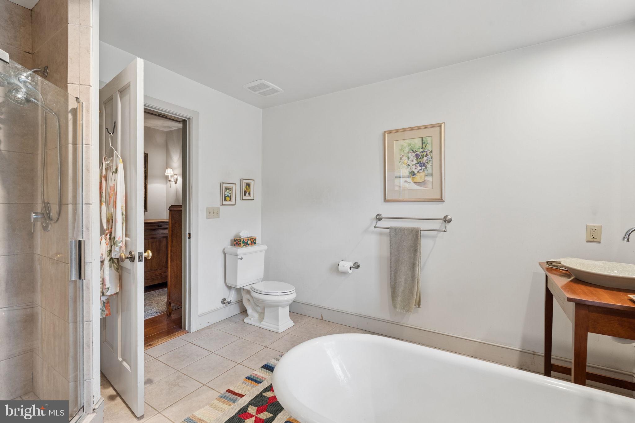 14678 Taylor Hill Road Glen Rock, PA 17327 - Photo 27 of 77 Primary Bath with Jacuzzi