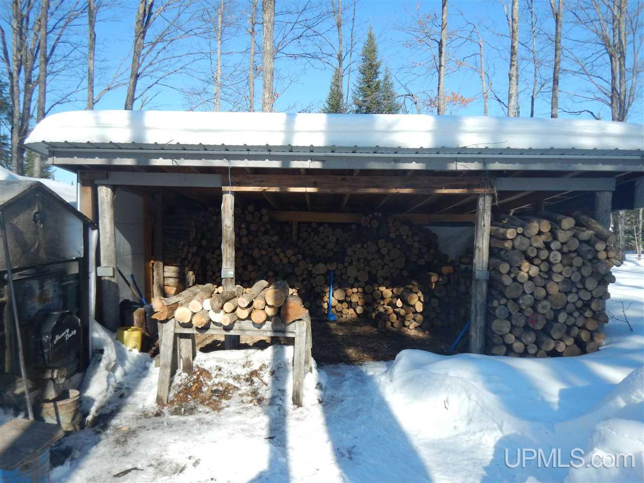 15490 County 426 M.5 Road Cornell, MI 49818 - Photo 24 of 34