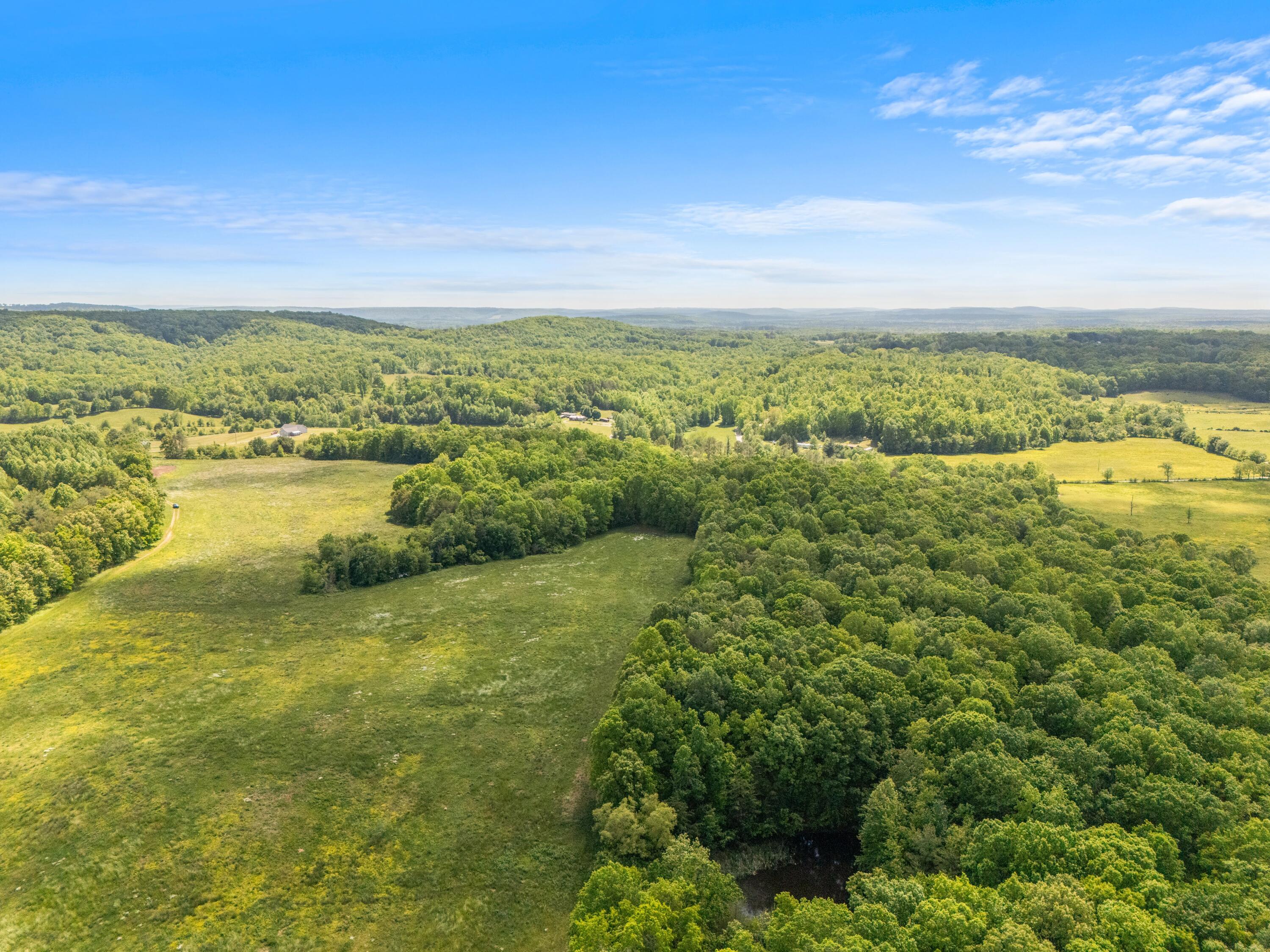 10681 Griffith Road Pikeville, TN 37367 - Photo 2 of 8 DJI_20260507142038_0397_D
