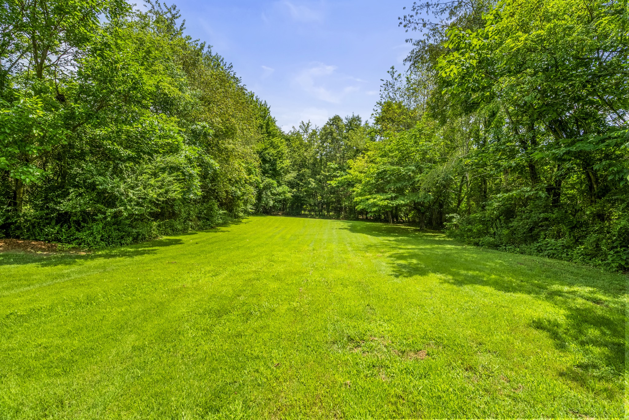 3240 Academy Road Portland, TN 37148 - Photo 37 of 39 a view of yard with swimming pool and green space