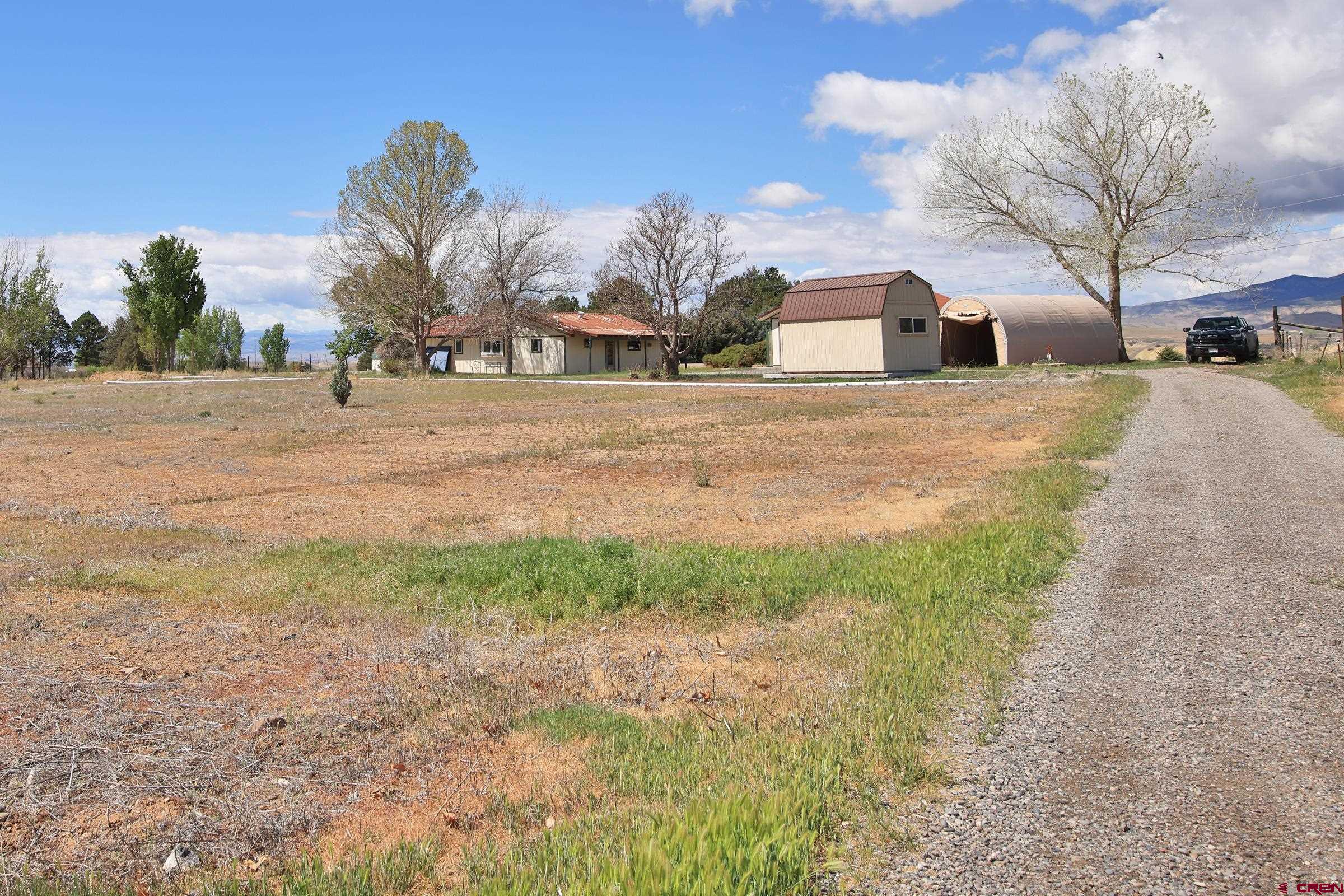 13637 Happy Hollow Road Eckert, CO 81418 - Photo 37 of 38 a view of road with large trees