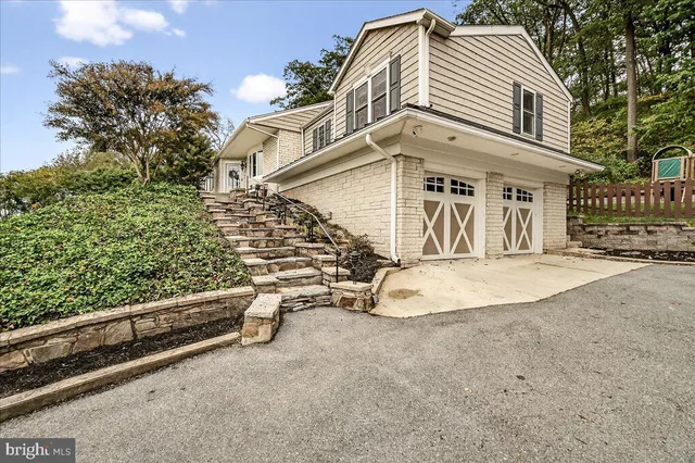 a view of a park with plants and trees