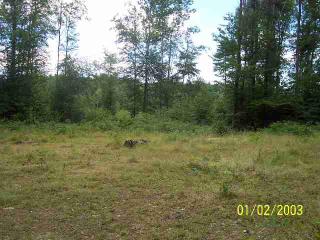 0 Rt 29 Middle Grove, NY 12850 - Photo 3 of 3 Photo 3
