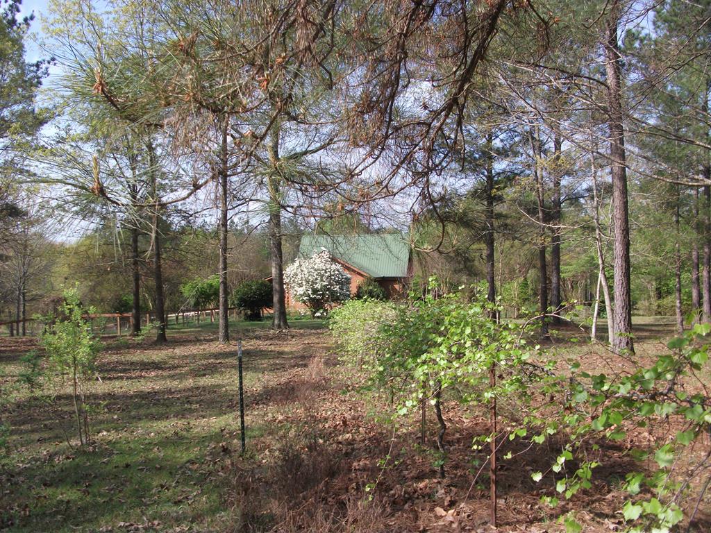 a backyard of a house with lots of green space