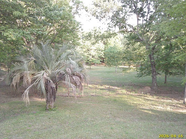 81 Brady Road Buena Vista, GA 31803 - Photo 21 of 26 a view of a yard with large trees