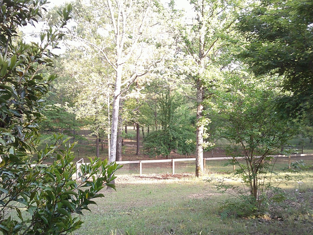 81 Brady Road Buena Vista, GA 31803 - Photo 22 of 26 a view of backyard with green space