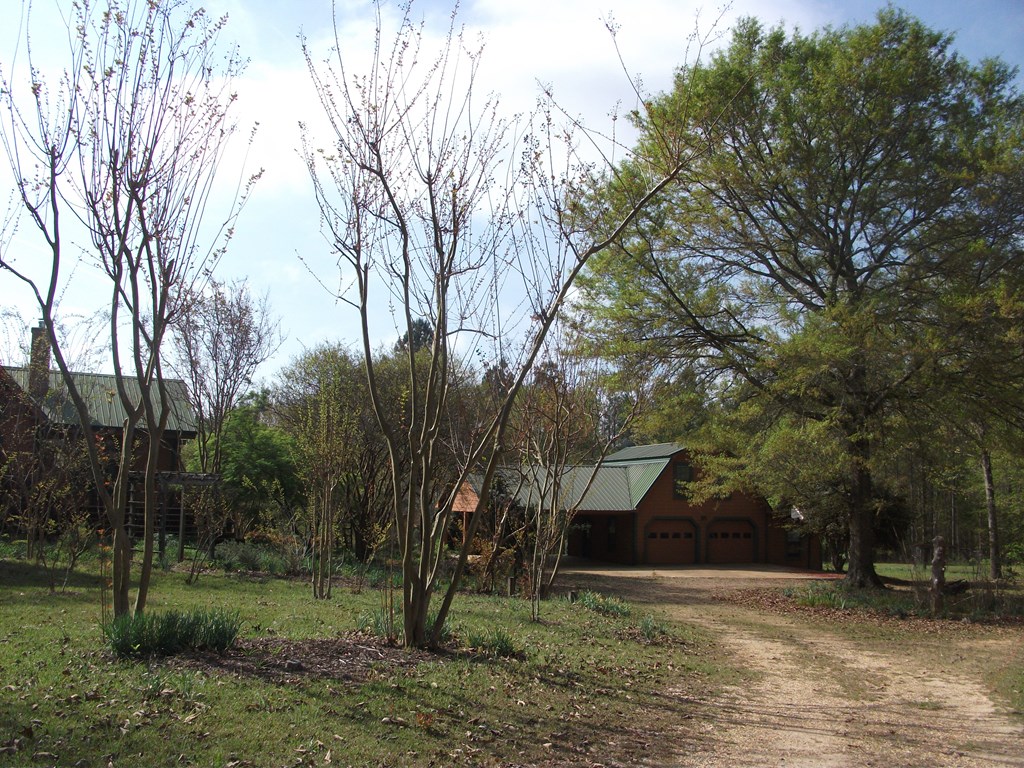 81 Brady Road Buena Vista, GA 31803 - Photo 23 of 26 a view of a backyard