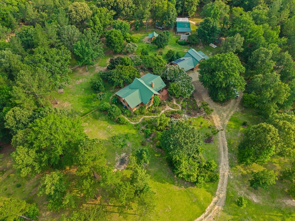 81 Brady Road Buena Vista, GA 31803 - Photo 26 of 26 an aerial view of residential house with outdoor space and trees all around