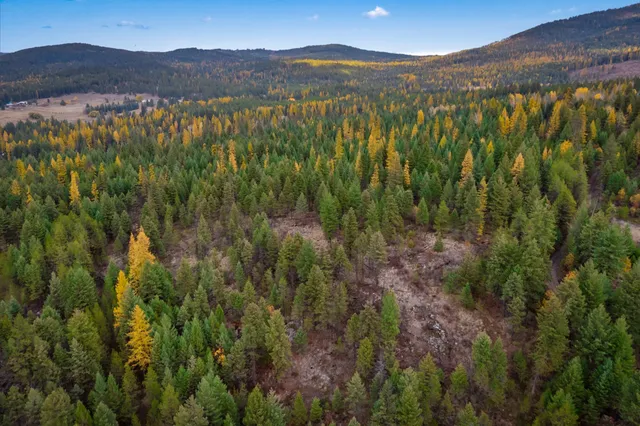 $475,000 | 2094 Clugston Creek-Onion Creek Road, Unit BB & P, Colville, WA 99114