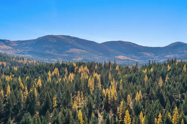 $475,000 | 2094 Clugston Creek-Onion Creek Road, Unit BB & P, Colville, WA 99114